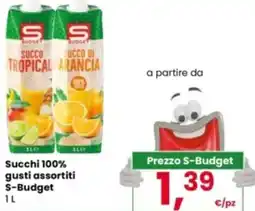 Eurospar Succhi 100% S-Budget offerta