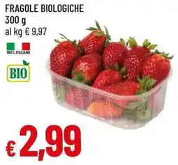 Galassia Fragole biologiche offerta