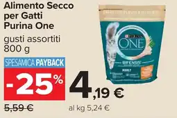 Carrefour Alimento Secco per Gatti Purina One offerta