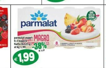 Il Castoro Supermercati Yogurt offerta