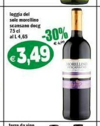 Il Castoro Supermercati Vino offerta