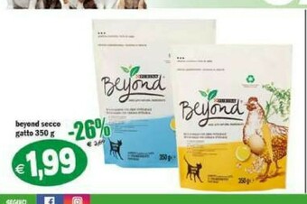 Cibo per gatti