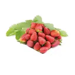 Coop FRAGOLE offerta