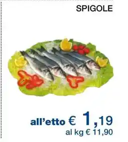 Coop Spigole offerta