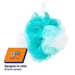 Action Spugna in rete offerta