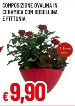 Famila Composizione ovalina in ceramica con rosellina e fittonia offerta