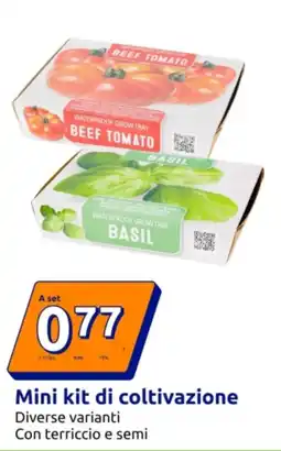 Action Mini kit di coltivazione offerta