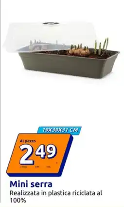 Action Mini serra offerta