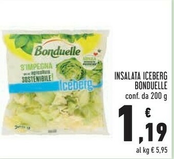 Conad Margherita Insalata iceberg offerta