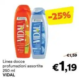 Unes Linea docce VIDAL offerta