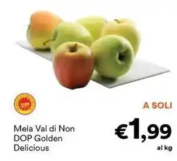 Unes Mela Val di Non DOP Golden Delicious offerta