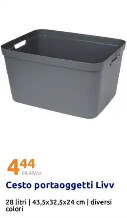 Action Cesto portaoggetti Livv offerta