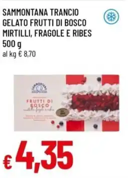 Famila Sammontana trancio gelato frutti di bosco mirtilli, fragole e ribes offerta
