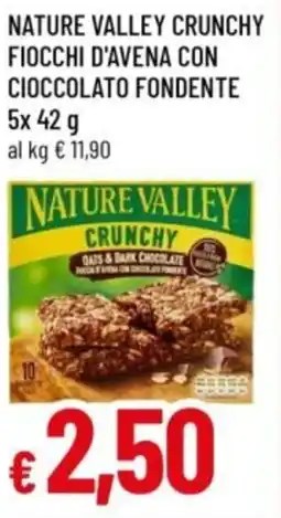 Famila Nature valley crunchy fiocchi d'avena con cioccolato fondente offerta