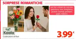 Famila Superstore Koala Costruzioni di fiori offerta