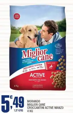 Splendidi e Splendenti Morando miglior cane croccantini active manzo offerta