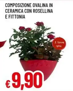 A&O Composizione ovalina in ceramica con rosellina e fittonia offerta