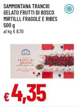 A&O Sammontana trancio gelato frutti di bosco mirtilli, fragole e ribes offerta