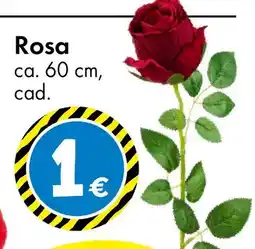 Tedi Rosa ca. 60 cm offerta