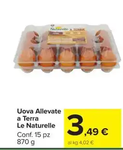 Carrefour Uova Allevate a Terra Le Naturelle offerta
