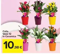 Carrefour Calla Vaso 12 in Ceramica offerta