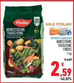 Conad MINESTRONE TRADIZIONE FINDUS offerta