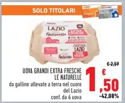 Conad Uova Grandi Extra Fresche Le Naturelle offerta