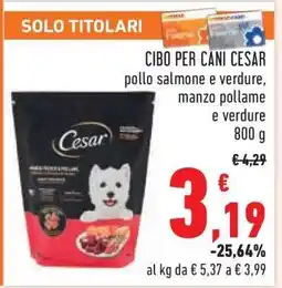 Conad CIBO PER CANI CESAR offerta