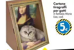 Tedi Cartone tiragraffi per gatti offerta