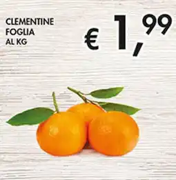 Coal Clementine foglia offerta
