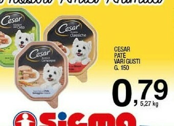 Sigma Pate offerta