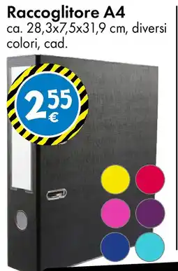Tedi Raccoglitore A4 offerta