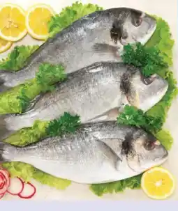 Sì con te Orata 4/6 offerta