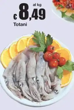 Sì con te Totani offerta