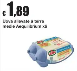 Sì con te Uova allevate a terra medie Aequilibrium x6 offerta
