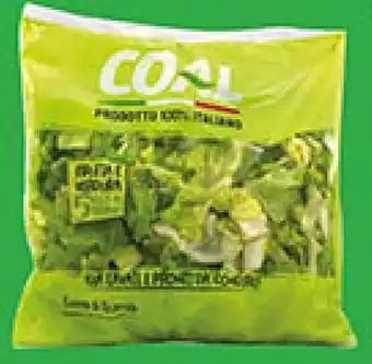 Coal Insalata cuore di scarola COAL offerta