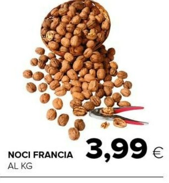 Tigre Noci francia offerta