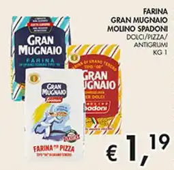 Coal Farina gran mugnaio MOLINO SPADONI offerta