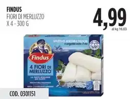 Carico Cash & Carry FINDUS fiori di merluzzo offerta