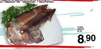 Sigma Pesce offerta