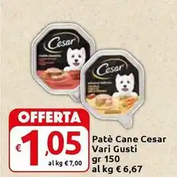 Carrefour Express Patè Cane Cesar offerta