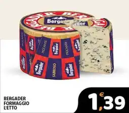 Premium Supermercati Bergader formaggio offerta