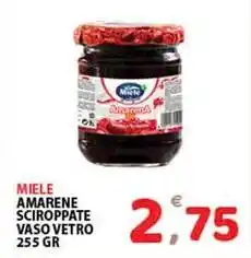 Premium Supermercati Miele amarene sciroppate vaso vetro offerta