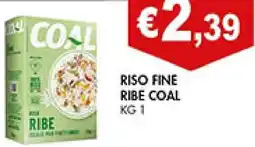 Coal Riso fine ribe COAL offerta