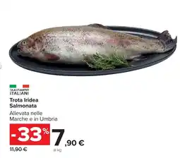 Carrefour Market Trota Iridea Salmonata offerta