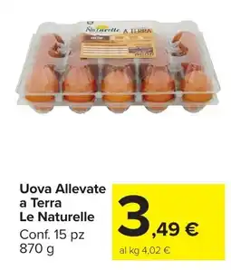 Carrefour Market Uova Allevate a Terra Le Naturelle offerta