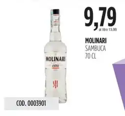 Carico Cash & Carry Molinari sambuca offerta