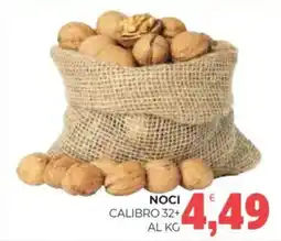 Eté Noci offerta