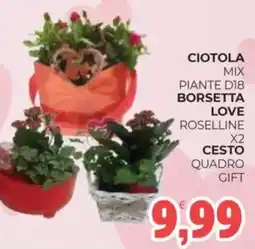 Eté Ciotola mix piante d18 borsetta love x2 cesto quadro gift offerta