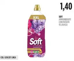 Carico Cash & Carry Soft ammorbidente concentrato offerta